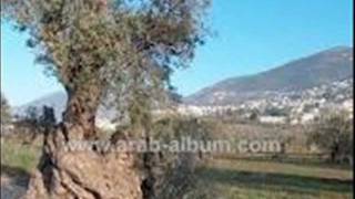 قرية الرامة كانت وستبقى عروس الجليل