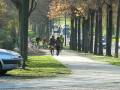 videos de Biking the Bois de Vincennes