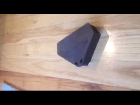 how to get rid of mice nyc
