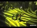 HEMP GRU -KONCERT W NYC 2008