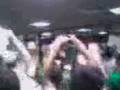 videos de palmeiras