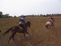 horse-riding-in-macatoo-botswana.html