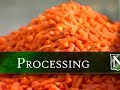 NFFC Processing