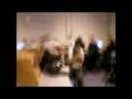 videos de Schoolkid gone wild
