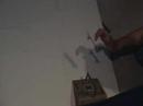 hottt vid