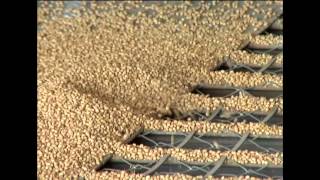 VÍDEO: Renda agrícola de Minas Gerais deve crescer 11% em 2012