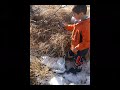Vblog 35 Two little boys and a geocache