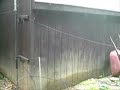 Temporary Cushcraft R5 Installation