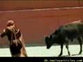 Female Matador Sexual Abuse