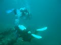 Diving U-1021