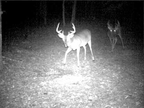 forsyth county ga forsyth county ga