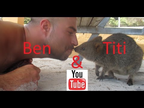 Image de prévisualisation YouTube