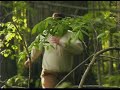 Mike Jones (Episode 1) Mike Jones (Episode 1)
