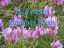 1 ao�t