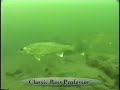 Catching Northern Bass