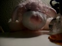 My -RARE- Cristals+gems FOR lovepuppy8070