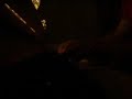 the butterfly\