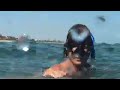 When Sting Rays Attack!