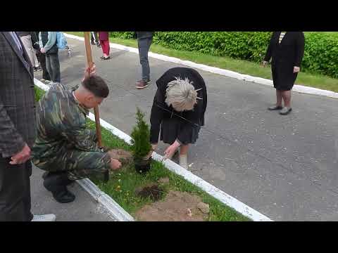 Барановичи день за днем. 17.05.24.