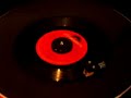 Jungle Fever by the Chakachas