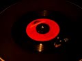 Jungle Fever by the Chakachas