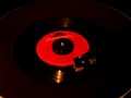 Jungle Fever by the Chakachas