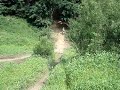 Itamarandiba pelo mundo - TRILHA NOS EUA