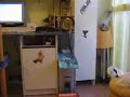 Italian Pitagora Suicchi