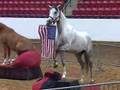 www-imagineahorse-co