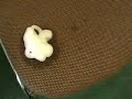 upholstery emergency cleaning upholstery emergency cleaning