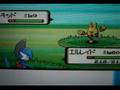 ポケトレ 色違いエレキッド