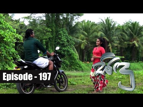 Malee 03
