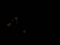 NIKO BELLIC JUMPS INTO WATER LOL