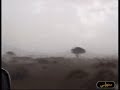 بتاريخ 20-6-2007زوروا موقع الوسمي للصور لمشاهدة اروع الصور والتي صورت من قبل محترفين عرب وغير عرب www.alwasmy.net