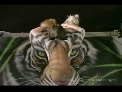 southchina tiger