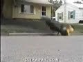 Table Grind Gone Wrong Table Grind Gone Wrong