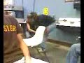 Dumb Girl in Class on Crack