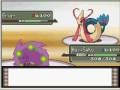 videos de D/P Wi-Fi Battle #1: Malekith Vs SeKo