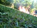 we like to burn stuff.