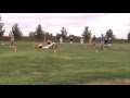 Rosedale Rush Slam Dunk 2