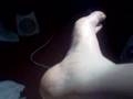 The Horror Of My Feet  Revisted.
