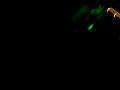 VID 00000-20090621-0133.3GP