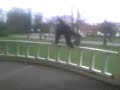 Amsterdammer doodgegaan (LOL) Amsterdammer doodgegaan (LOL)
