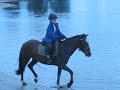 Kaimai at the beach