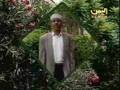 Yemen Music Ayoob 3ashig Al-Layl