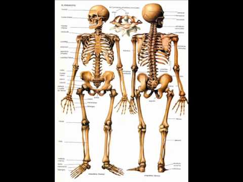 Imatge de previsualització de YouTube