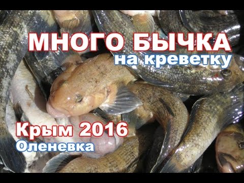 прогноз клева рыбы уни кировской прогноз клева рыбы уни кировской