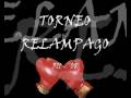 TORNEO 311 - '08 PELEADORES