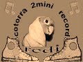 bob marley instrumental ft lil 2mini redi cotorra record fot