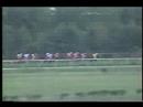 Premio NH Categoria Especial 1999 Red Bull Ari Shart Premio NH Categoria Especial 1999 Red Bull Ari Shart